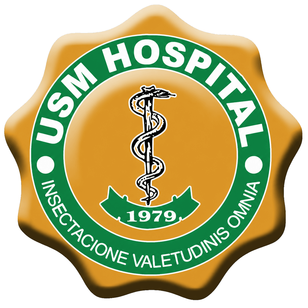 USM Hospital logo used in the hospital system case study
